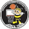 https://img.sccjis.com/img/basketball/team/e416830f4083698237c559f8988ddb25.png